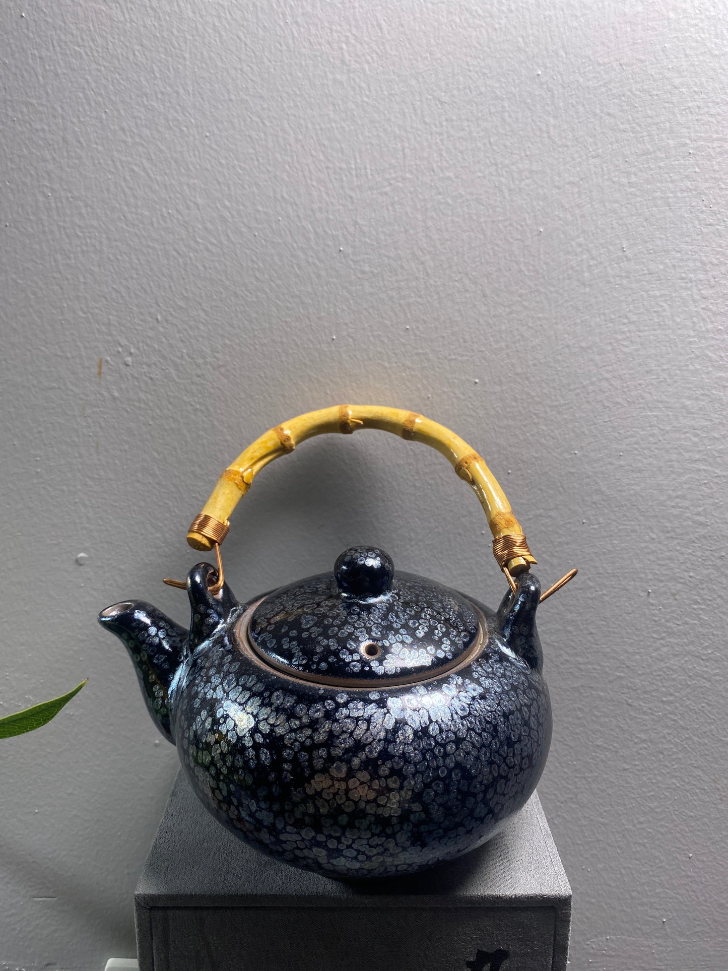 Kiln treasure-11.9