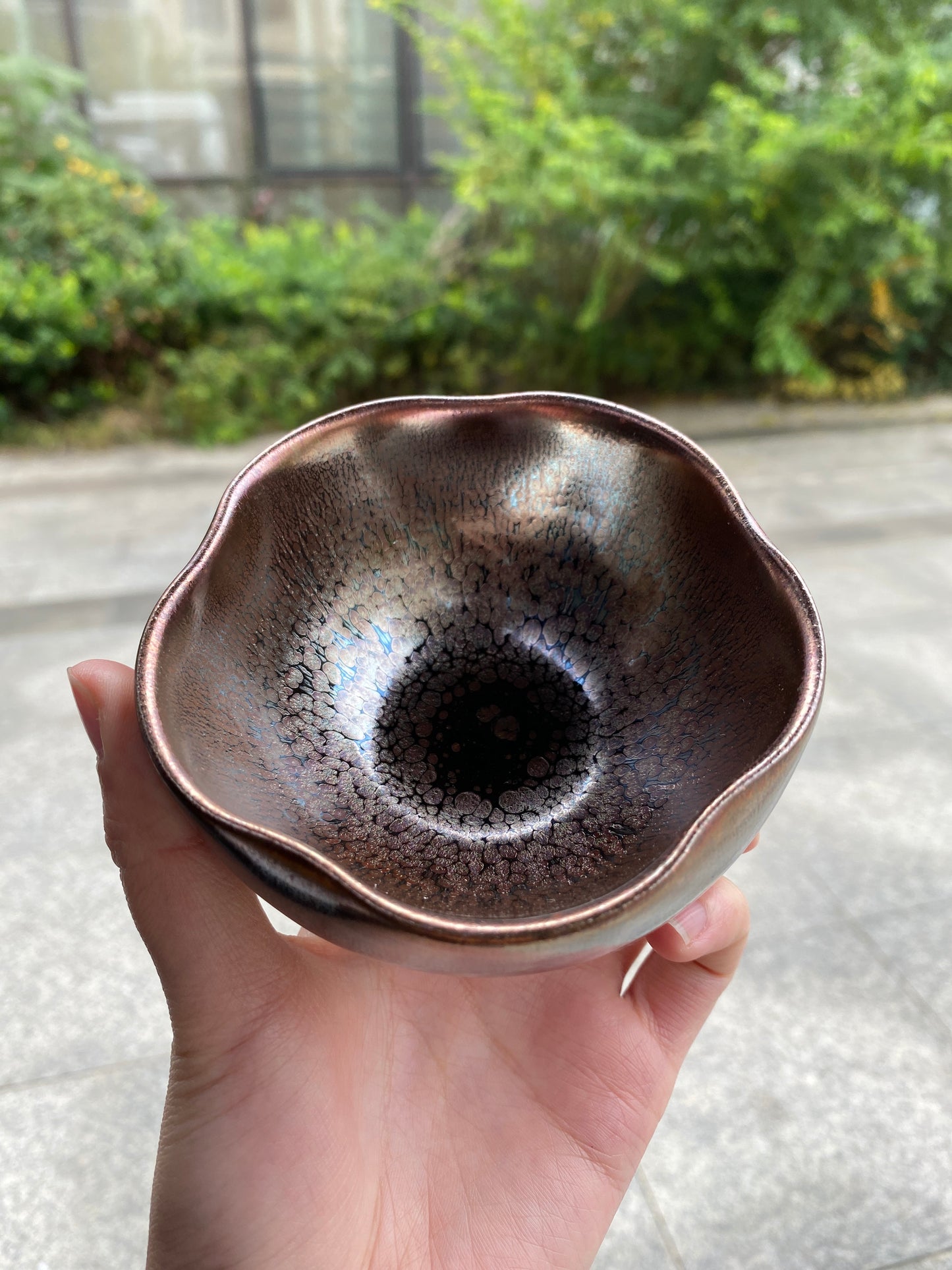 Kiln treasure.12.5